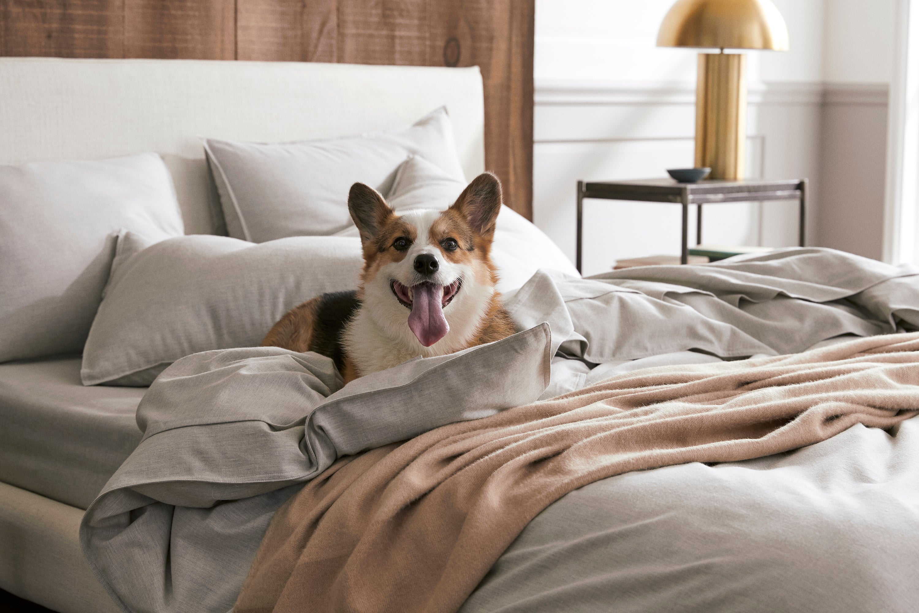 Pictured: The Heathered Cashmere Hardcore Bundle accompanied by the Cashmere and Lambswool Throw by Brooklinen.