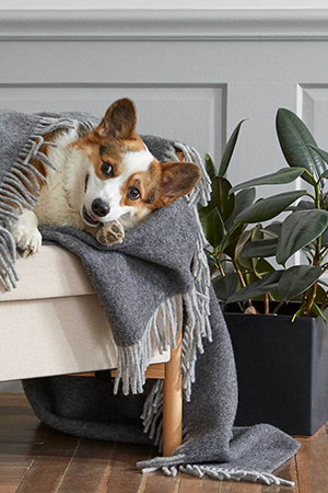 Pure Wool Throw in Greige | ALIGN : LEFT